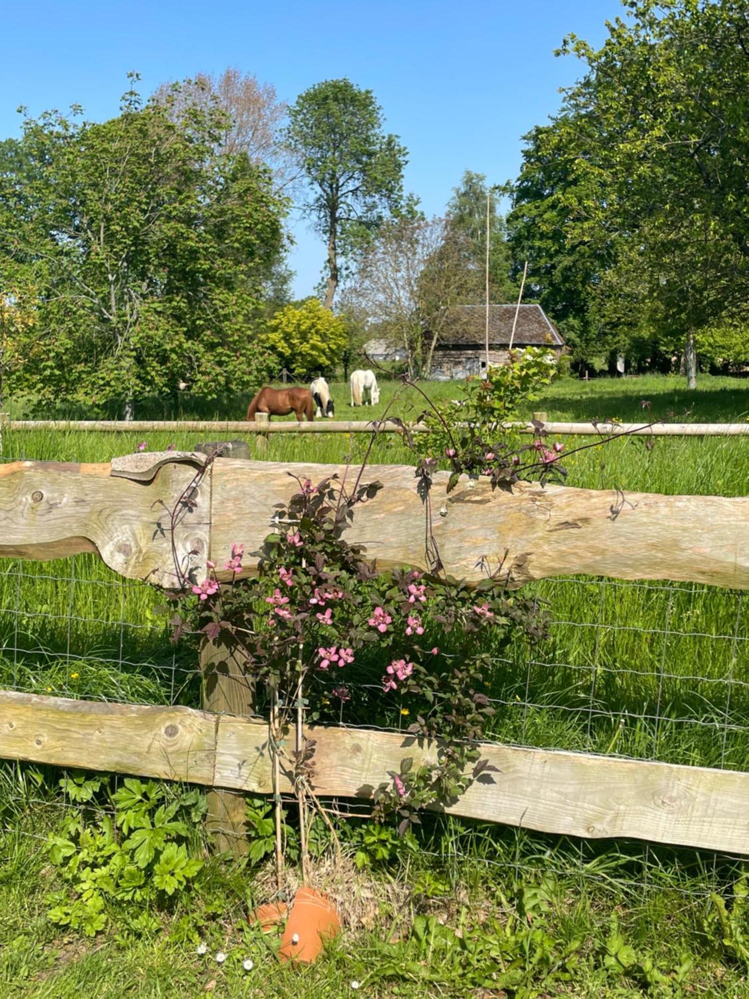 Le Clos Du Val A Loup Bénarville Zewnętrze zdjęcie